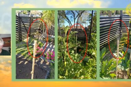 Elektrokultura v zahradě návrat k přirozeným energiím Země, vyšší úroda bez chemie, měděné antény, harmonie s přírodou a udržitelné pěstování potravin.