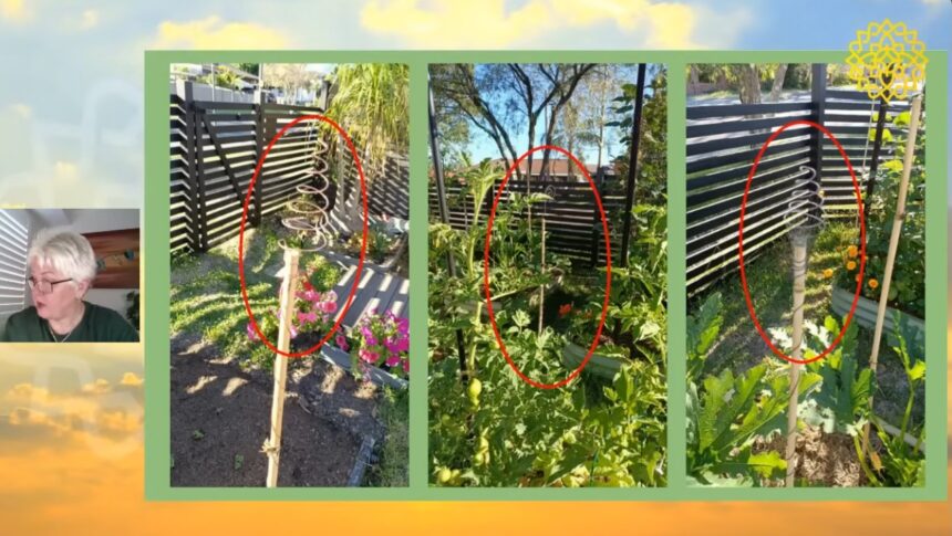 Elektrokultura v zahradě návrat k přirozeným energiím Země, vyšší úroda bez chemie, měděné antény, harmonie s přírodou a udržitelné pěstování potravin.